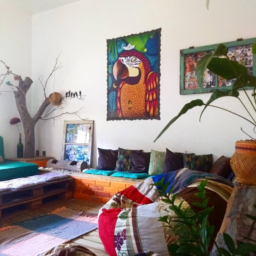 Katsbarnea Hostel Florianopolis Bagian luar foto
