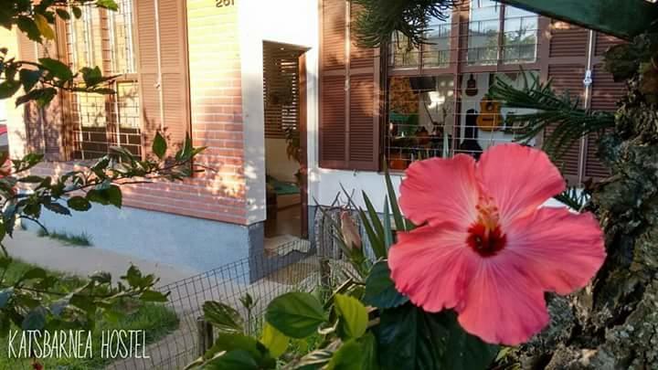 Katsbarnea Hostel Florianopolis Bagian luar foto