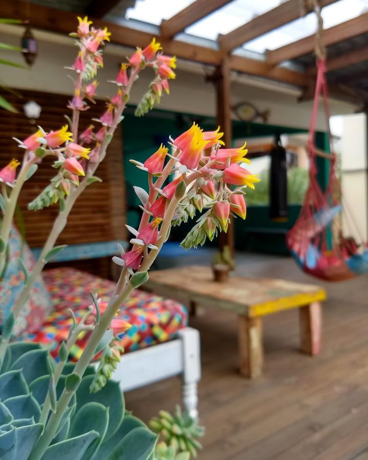Katsbarnea Hostel Florianopolis Bagian luar foto
